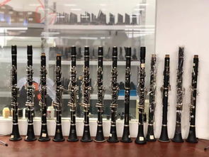 嘉善2家企業(yè)首登省級榜單 實現樂器配件領域零突破